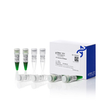 2X TruTaq Green PCR 预混液, 200 次反应