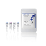 TruFidelis Pro DNA 聚合酶, 100 次反应