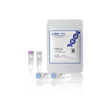 TruFidelis Pro DNA 聚合酶, 100 次反应