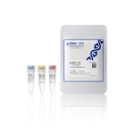 TruFidelis Plus DNA 聚合酶, 100 次反应