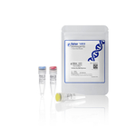 TruFidelis Plus DNA 聚合酶, 100 次反应