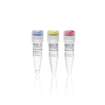 TruFidelis Plus DNA 聚合酶, 100 次反应