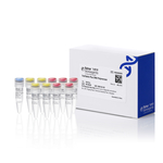 TruFidelis Plus DNA 聚合酶, 500 次反应