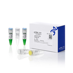 TruFidelis Plus Green PCR 预混液, 100 次反应