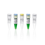 TruFidelis Plus Green PCR 预混液, 100 次反应