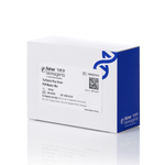 TruFidelis Plus Green PCR 预混液, 100 次反应