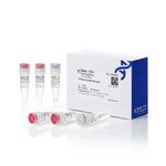 TruFidelis Core DNA 聚合酶, 100 次反应