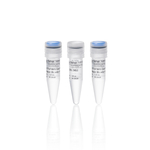 TruFidelis Core PCR  预混液含 HF 缓冲液, 100 次反应
