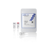 TruScript Pro H Minus 反转录预混液, 50 次反应