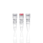 TruScript Pro H Minus 反转录预混液, 50 次反应