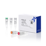 TruScript Pro H Minus 反转录预混液含 DNase, 50 次反应