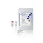 TruScript Core H Minus 反转录预混液, 50 次反应