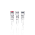 TruScript Core H Minus 反转录预混液, 50 次反应