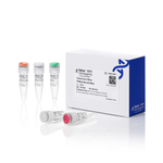 TruScript Core H Minus 反转录预混液含 DNase, 50 次反应