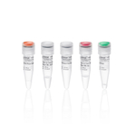 TruScript Core H Minus 反转录预混液含 DNase, 50 次反应