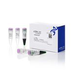 SnapDigest BamHI 快速限制性内切酶, 800 次反应