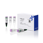 SnapDigest EcoRI 快速限制性内切酶, 800 次反应