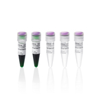 SnapDigest EcoRI 快速限制性内切酶, 800 次反应