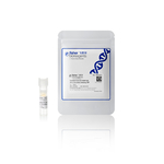 EazeBind 山羊抗兔 IgG (H+L) HRP 二抗, 0.8 mg/mL, 100 µL