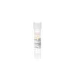 EazeBind 山羊抗兔 IgG (H+L) HRP 二抗, 0.8 mg/mL, 100 µL