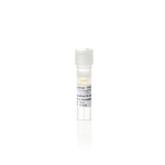 EazeBind 山羊抗小鼠 IgG (H+L) HRP 二抗, 0.8 mg/mL, 100 µL