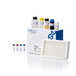 EazeQuant 人 IFN-γ ELISA 试剂盒, 96 孔