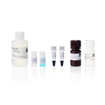 EazePack Western Blot 迎新套装（预染蛋白 Marker、Ultra 底物、BCA）, 1 套