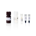 EazePack Western Blot 迎新套装（预染蛋白 Marker、Ultra 底物、羊抗兔 HRP 二抗）, 1 套