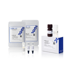 EazePack Western Blot 迎新套装（预染蛋白 Marker、Ultra 底物、羊抗兔 HRP 二抗）, 1 套