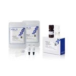 EazePack Western Blot 迎新套装（预染蛋白 Marker、Ultra 底物、羊抗兔 HRP 二抗）, 1 套