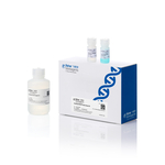 EazeQuant BCA 蛋白定量试剂盒, 100 mL (500 孔)