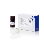 EazeSignal Ultra 超敏型化学发光底物, 20 mL (10 mL + 10 mL)