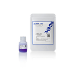 Tris-甘氨酸 SDS 上样缓冲液 (2X), 20 mL